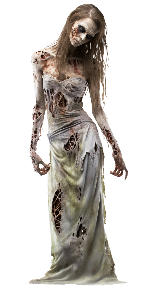 Vortex Expérience EVG EVJF